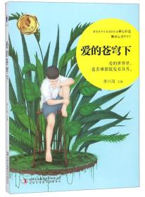 成长之书：爱的苍穹下（备受青少年喜爱的作家倾心打造触动心灵的文字）