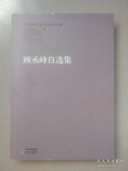 中国当代艺术批评文库：顾丞峰自选集