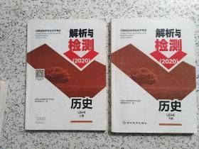 河南省初中学业水平考试解析与检测(2020）：历史 上下册