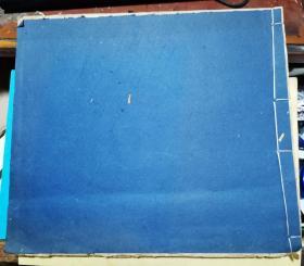 张子祥课徒画稿 册三 冬季花卉 果蔬 草树芝石部分 [超大方开本，白纸石印，带衬 ]29.8×26.2厘米 25叶 50面