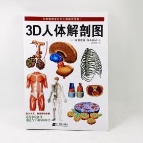 3D人体解剖图