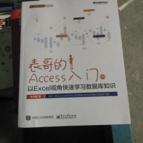 表哥的Access入门：以Excel视角快速学习数据库知识