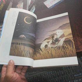穿越世界的呼唤（盛世中国 原创儿童文学大系 ）