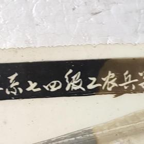 福建农学院农学系七四级工农兵学员毕业合影，77年1月，背面有名字，保真，包快递