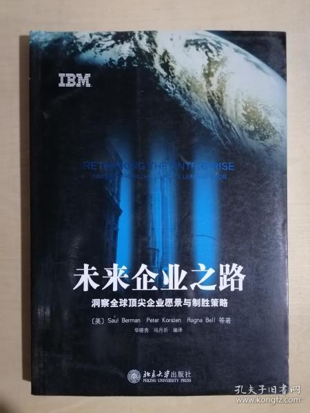 《未来企业之路：洞察全球顶尖企业愿景与制胜策略》（小16开平装）九品