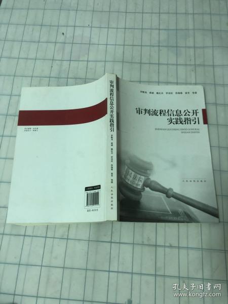 审判流程信息公开实践指引