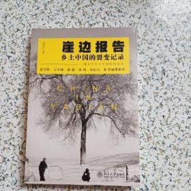崖边报告:乡土中国的裂变记录