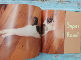 Lil Bunny Sue Roux Photo Book & Inspirational Quotes