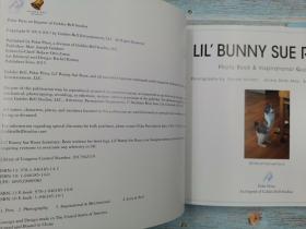 Lil Bunny Sue Roux Photo Book & Inspirational Quotes