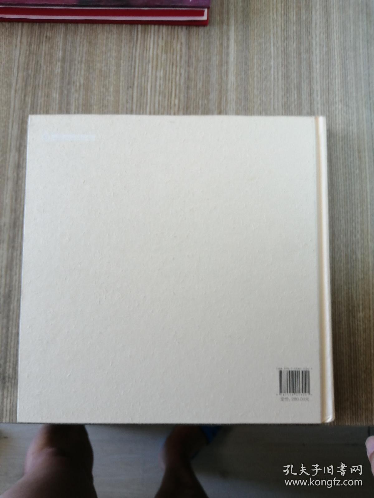 中国艺术新视界 美术书法摄影青年创作人才优秀作品集（2014）