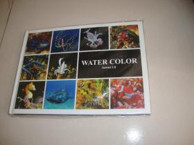 Water COLOR 海底动物世界