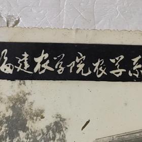 福建农学院农学系七四级工农兵学员毕业合影，77年1月，背面有名字，保真，包快递