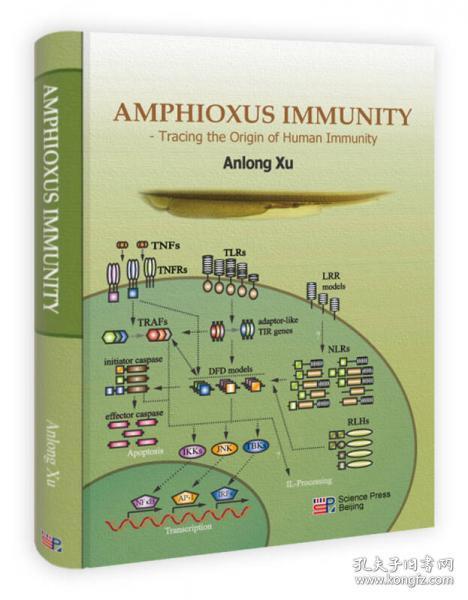 文昌鱼免疫系统（TheImmuneSystemofAmphioxus）(英文版)