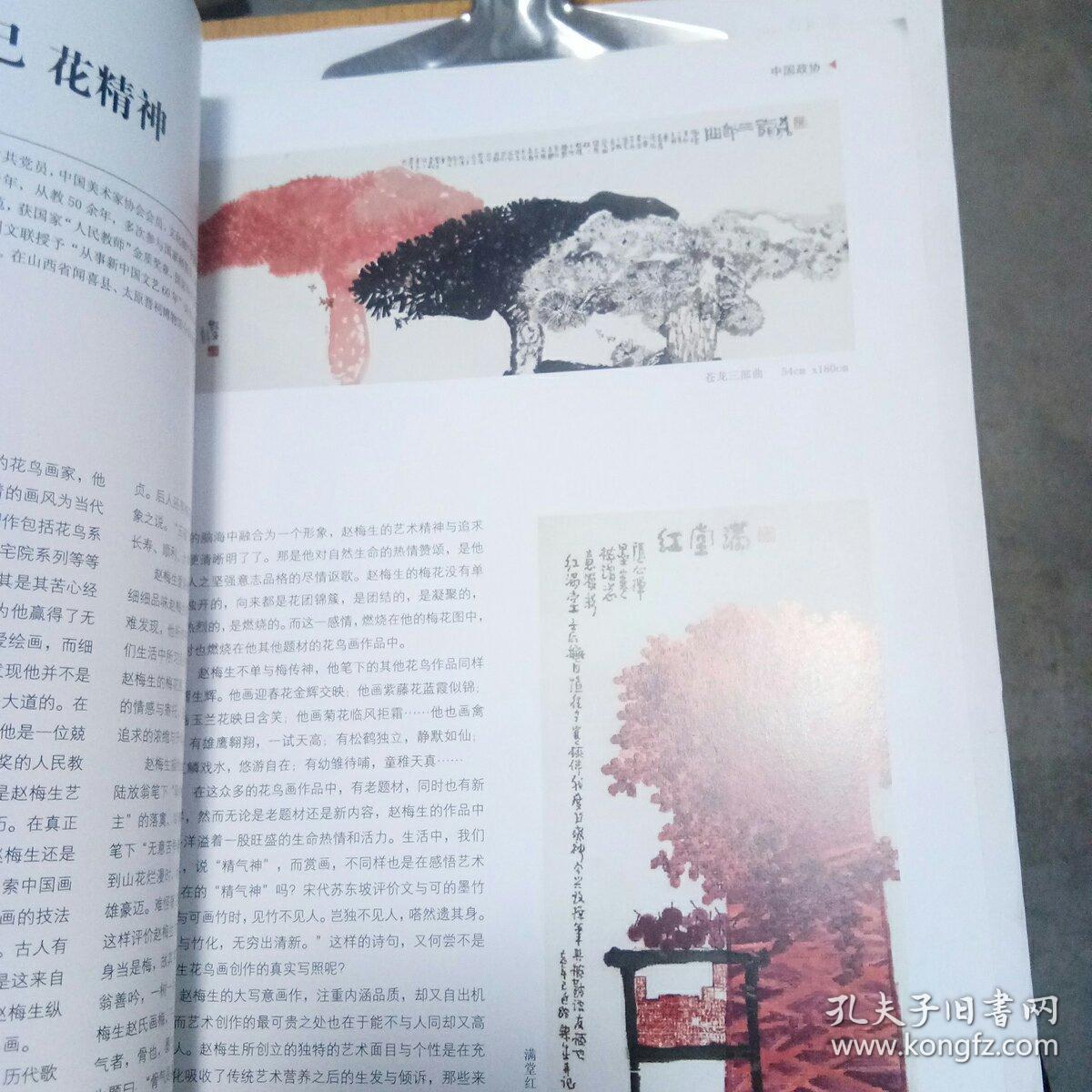 中国政协2014两会专刊