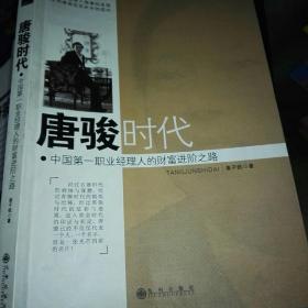 唐骏时代：中国第一职业经理人的财富进阶之路