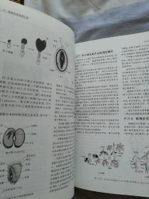 陈阅增普通生物学（第4版）