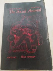 The Social Animal  【英文原版，品相佳】
