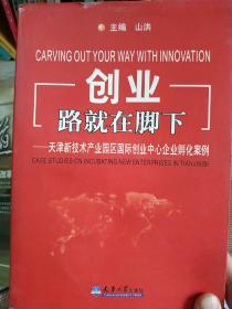 创业 路就在脚下:天津新技术产业园区国际创业中心企业孵化案例