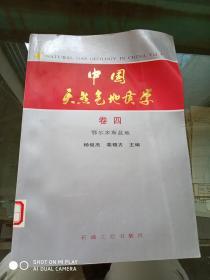中国天然气地质学（卷四）