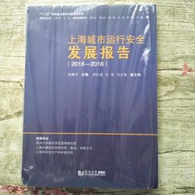 上海城市运行安全发展报告（2016-2018）