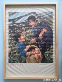 #每日一更# 1963年 暖房里采番茄 主题鲜明 时代气息浓郁