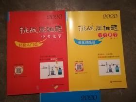 挑战压轴题 中考化学 轻松入门篇/强化训练篇/ 精讲解读篇（2版）2020