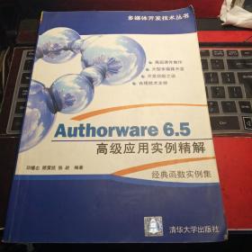 Authorware6.5高级应用实例精解:函数实例集