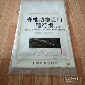 初级中学课本动物学教学挂图  脊椎动物亚门   爬行纲  上辑