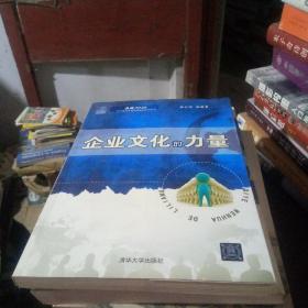 决战2020·北大纵横管理咨询集团系列丛书：企业文化的力量