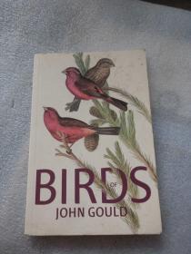 BIRDS of JOHN GOULD 外文原版（鸟谱 英韩互译如图）