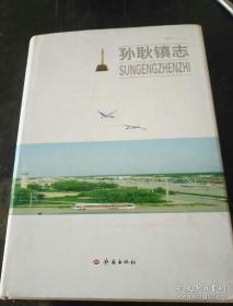 孙耿镇志（隶属山东省济南市济阳县）