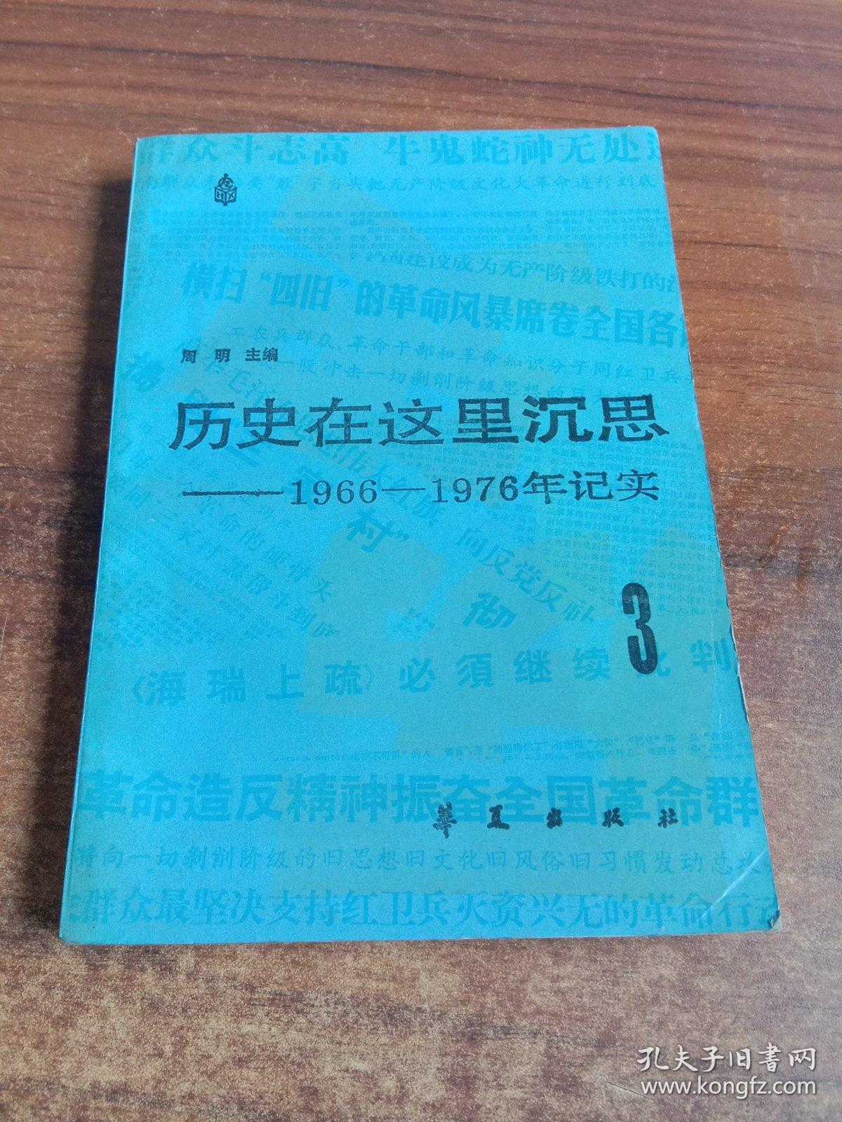 历史在这里沉思3:1966～1976年纪实.第三卷