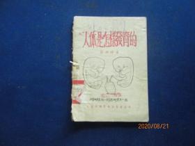 人体是怎样发育的