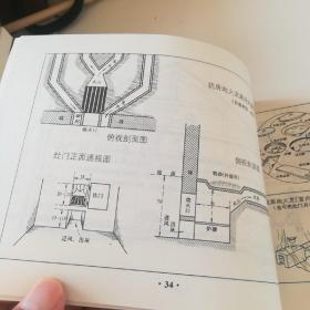 实用养蚕植桑技术（东平湖水库移民实用技术培训参考资料十）