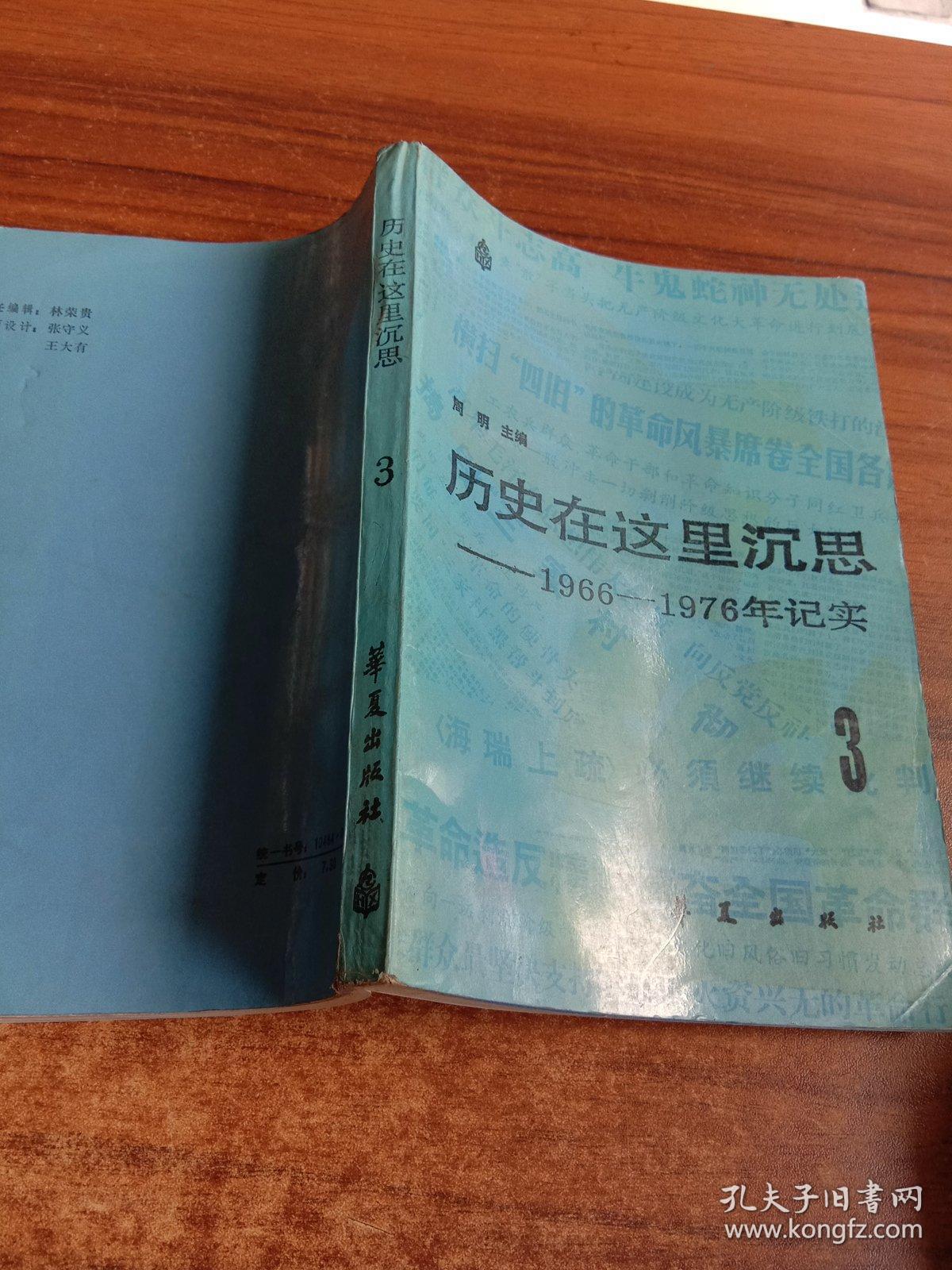 历史在这里沉思3:1966～1976年纪实.第三卷