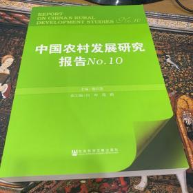 中国农村发展研究报告No.10