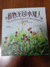 植物王国的小矮人：苔藓植物（中英文版）