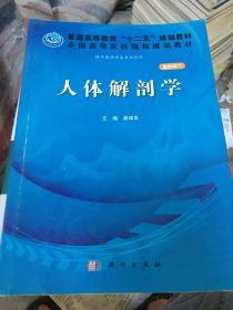 人体解剖学（案例版）/普通高等教育“十二五”规划教材·全国高等医药院校规划教材