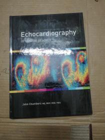 Echocardiography in clinical practice  (内彩图 精装本 )