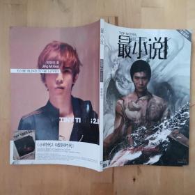 最小说 2009 21