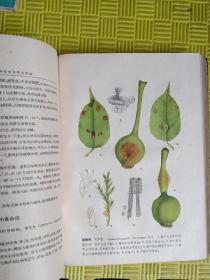中国农作物主要病虫害及其防治（1959年一版一印，精装！）