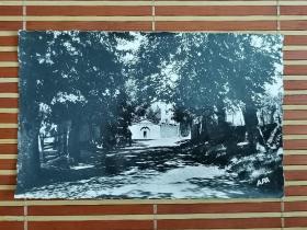 百年前欧洲林荫小道建筑艺术风景明信片，黑白摄影版，一百多年至今保存完好，非常难得