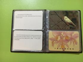 天津市长途电信局 花鸟卡片 （共46张）
