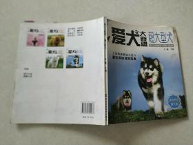 爱犬大联盟：超大型犬