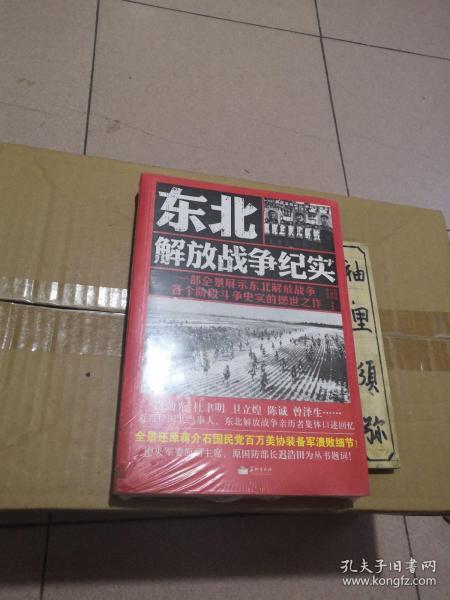 东北解放战争纪实