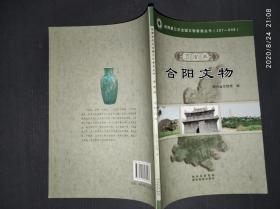 陕西省第三次全国文物普查丛书. 渭南卷. 合阳文物.