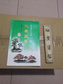 名家授艺十日通：水旱盆景