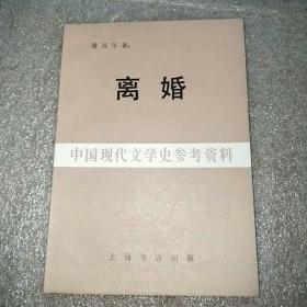 离婚：中国现代文学史参考资料