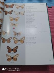 Butterflies of the Neotropical Region  Papilionidae & Pieridae   六集合售精大八开  品佳铜版纸