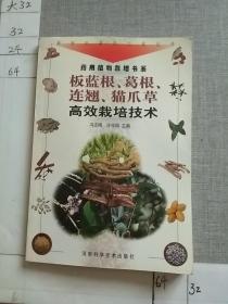 板蓝根、葛根、连翘、猫爪草高效栽培技术（新世纪富民工程丛书·药用植物栽培书系）